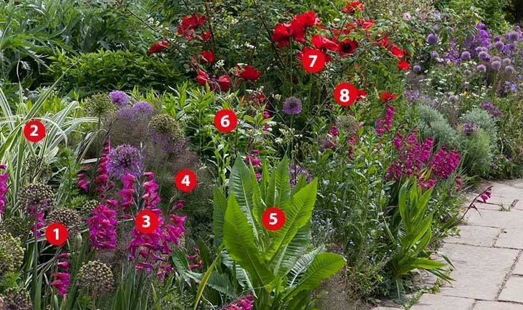 Kleurrijke-borderinrichting-vaste-planten-bollen-heesters