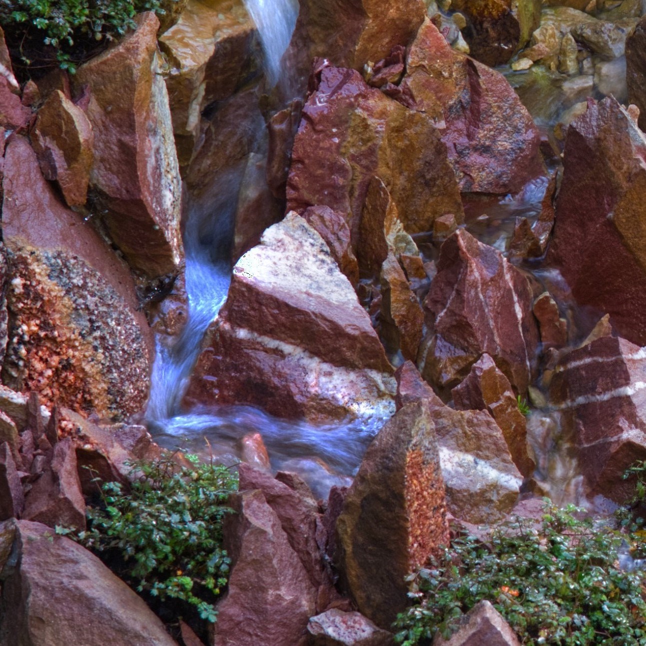 Beplanting van stenen bij waterval rotstuin