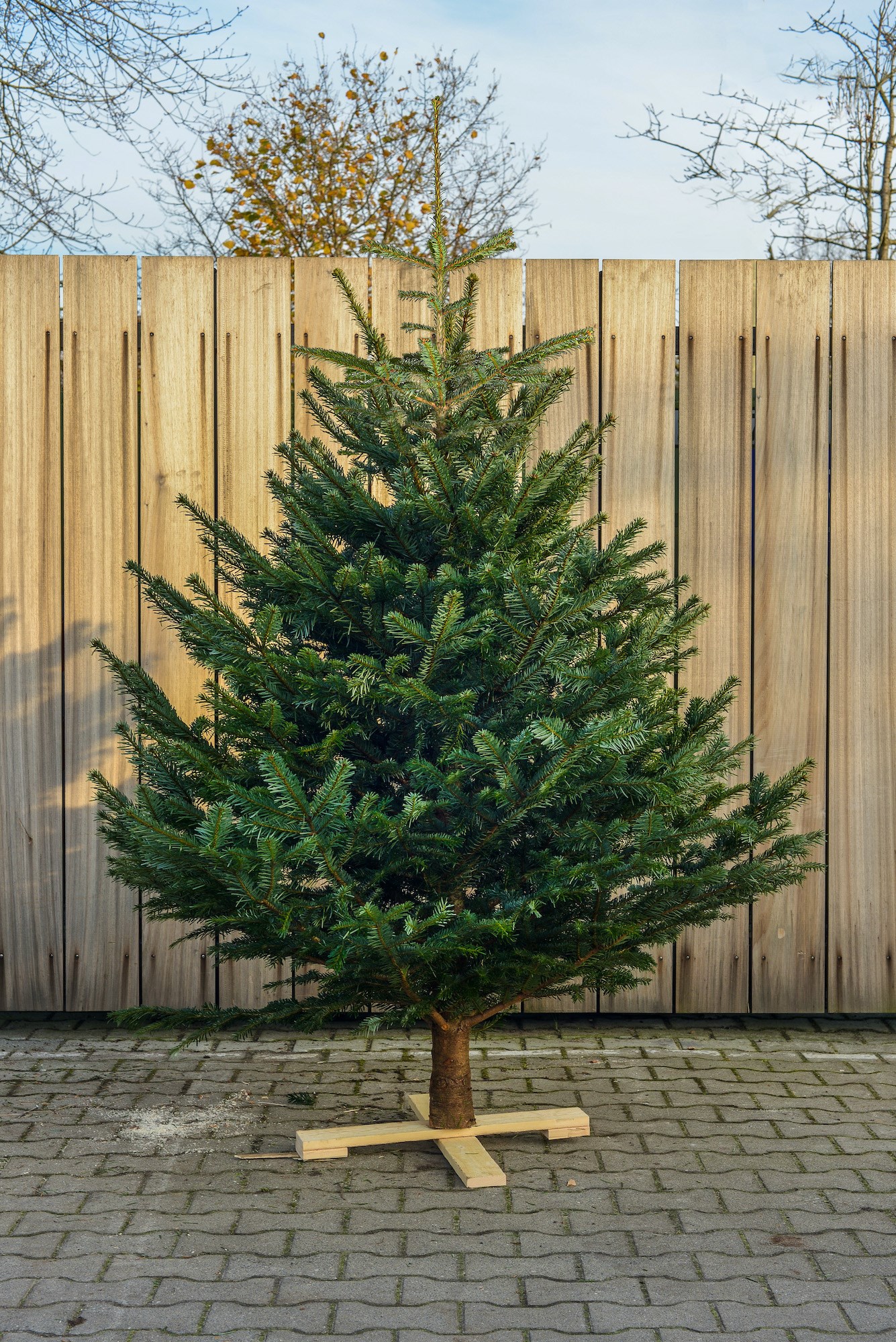 kerstboom bestellen in het Gooi | Nobilis kerstbomen aanbieding | kant en klaar