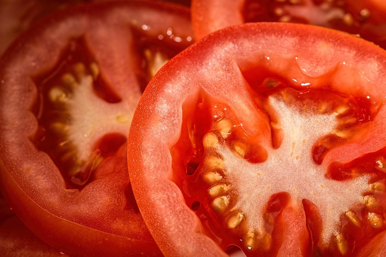 levering aan huis Supplement Worden Samen met de kids tomaten plantjes zaaien