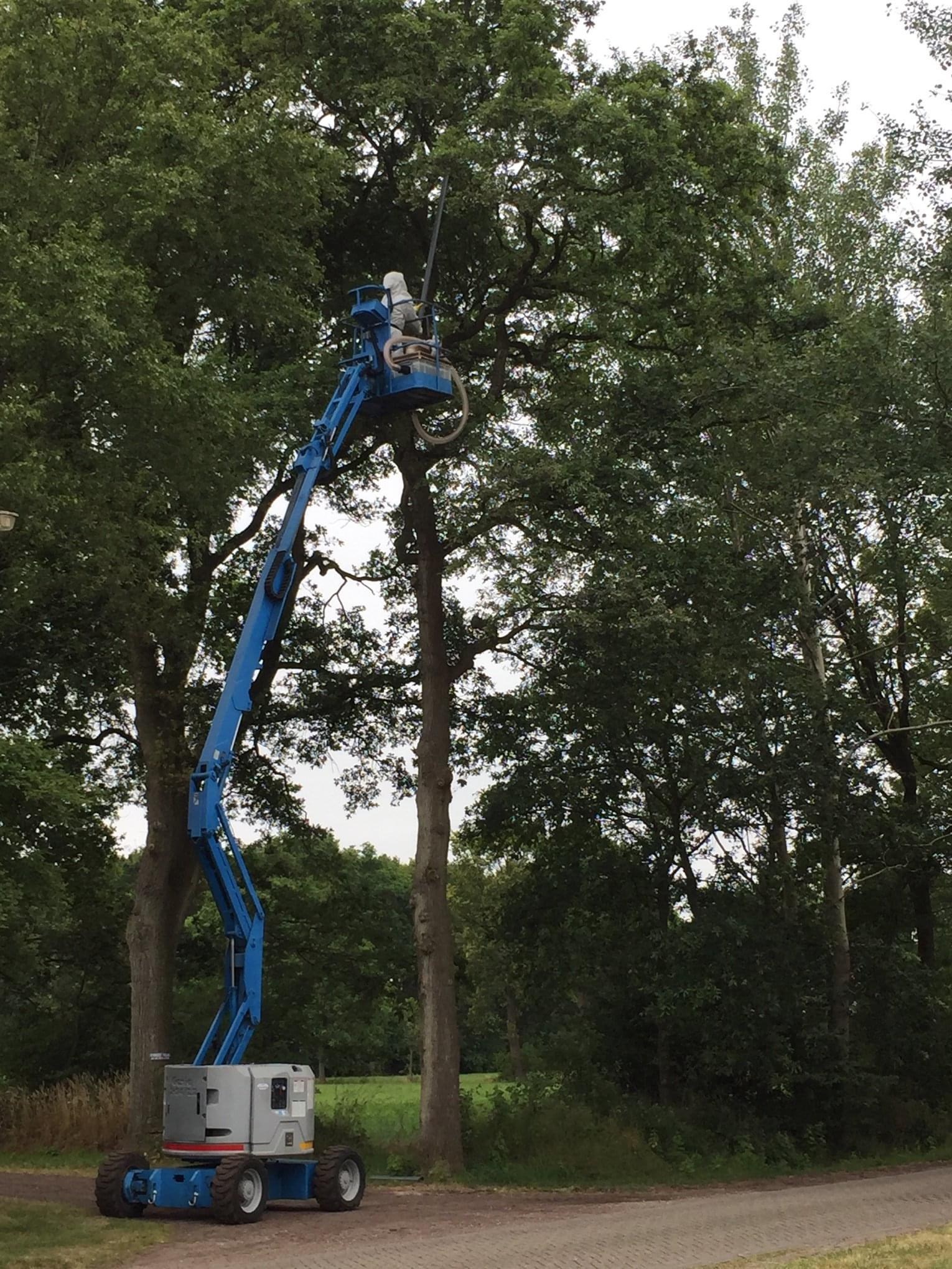 Hoogwerker-verhuur-eikenprocessierups-drenthe