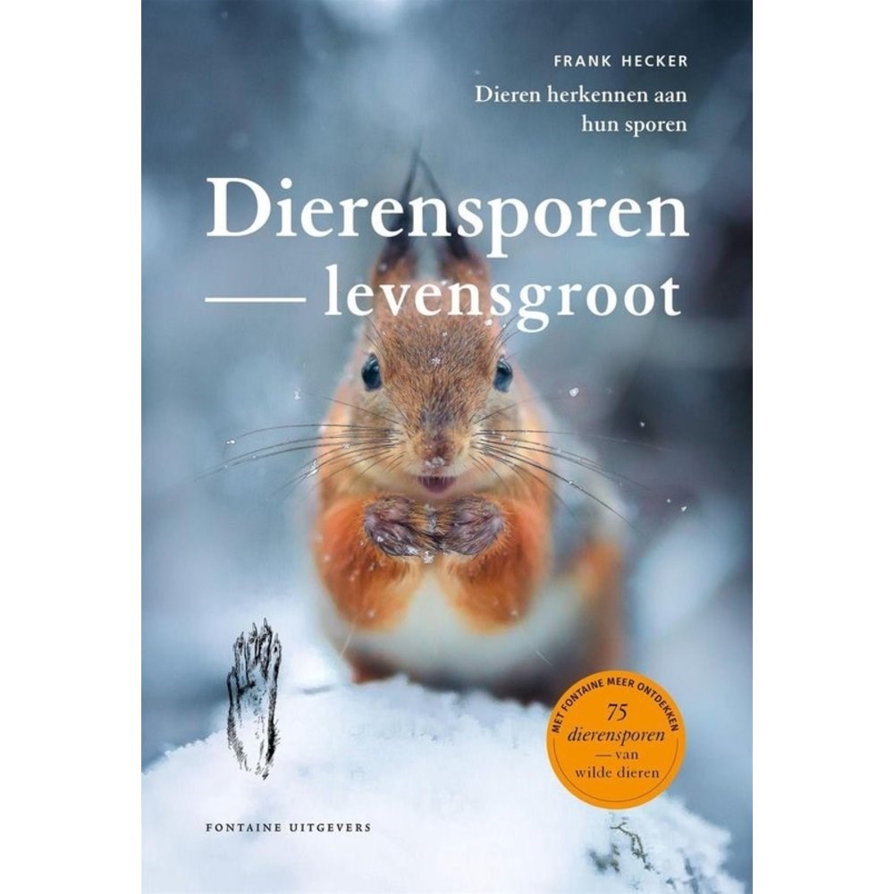 Diersporen leren herkennen in de sneeuw