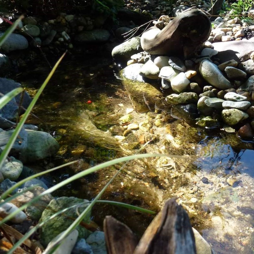 Afwerking tips natuurlijke waterval beekloop
