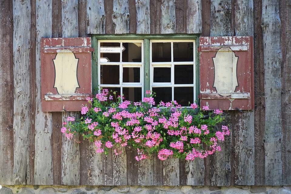 Geranium-balkon-bloembak-soorten-bloembak-potten
