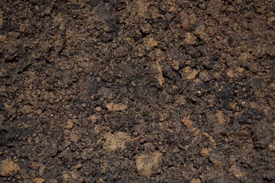 gezonde-grond-voor-de-tuinplanten