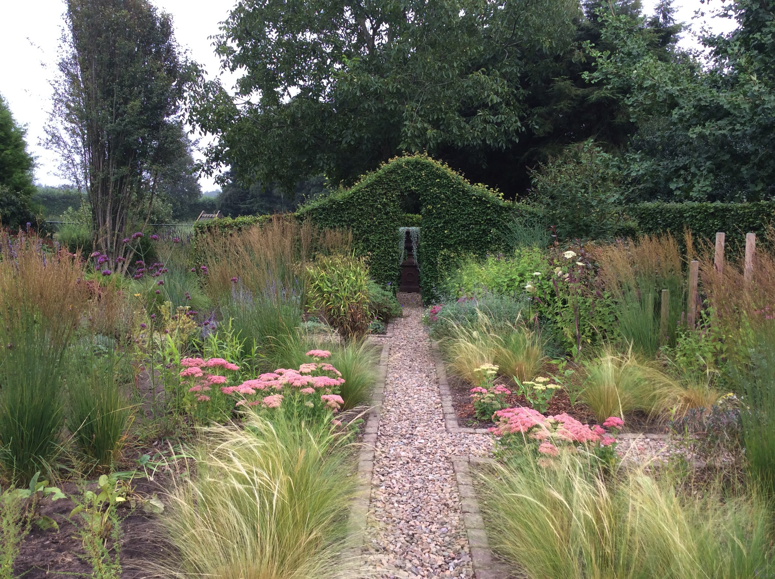 Grastuin met Molinia caerulea 'Heidebraut' en Stipa tenuissima 'Ponytails' 