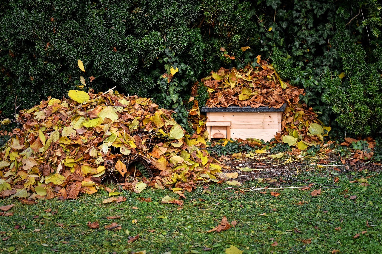 Maak een plaatsje in de tuin waar ze hun nest kunnen bouwen. Dit is ook de plek waar ze ongestoord kunnen overwinteren. Egels gaan in winterslaap eind november begin december. Ze verliezen tijdens de winterslaap 25% van hun lichaamsgewicht. in april wanneer ze uit de winterslaap komen gaan ze ook direct op zoek naar voedsel