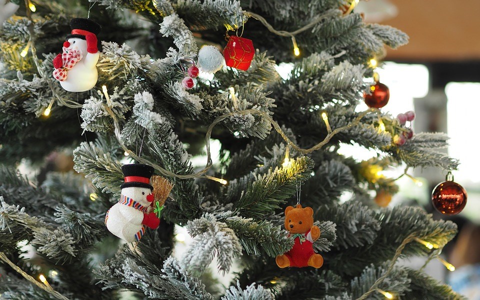 kerstbomen shoppen flevoland tuincentrum online bestellen en bezorgen