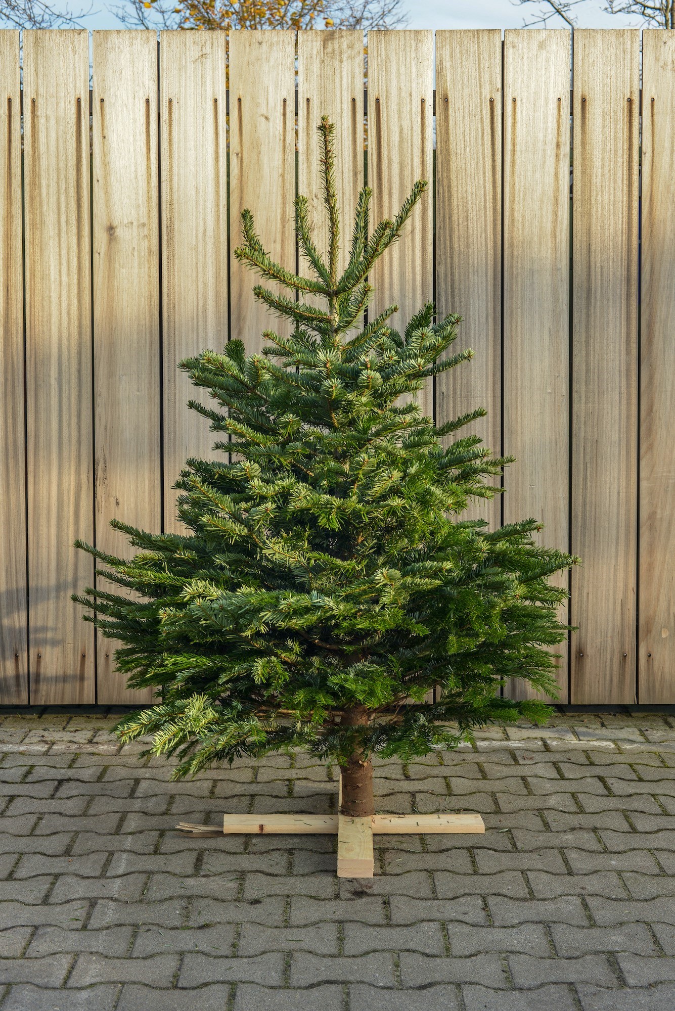 kerstboom online bestellen in Groningen Nordmann