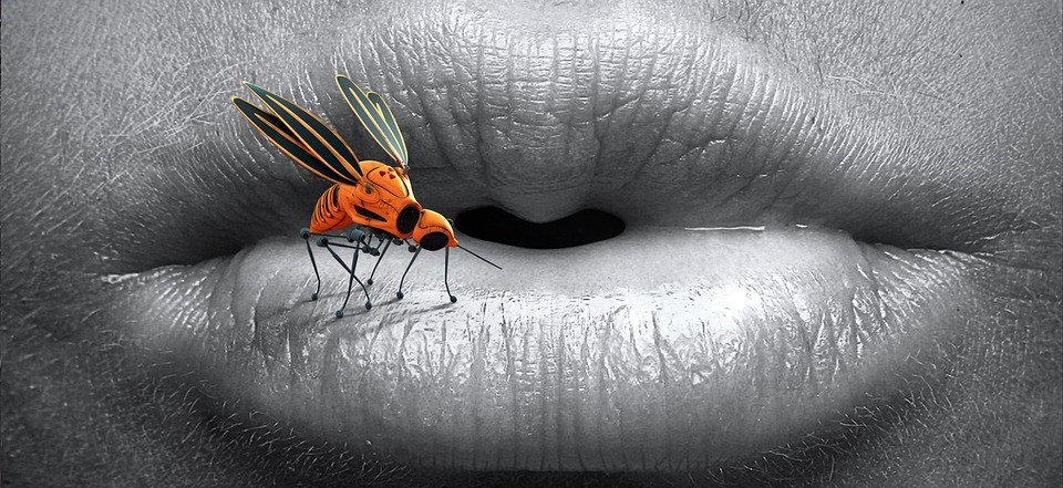 muggen zijn de dodelijkste insecten ze prikken en besmetten mensen