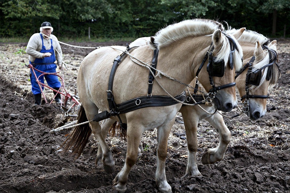 het oude tuinieren van toen ploegen spuiten en moestuinieren volkstuin grondbewerking