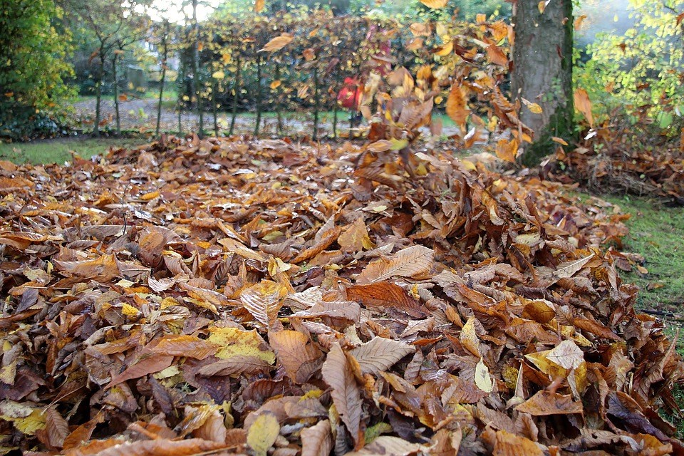 ruimen-bladeren-herfst-hergebruik-borders-mulchen