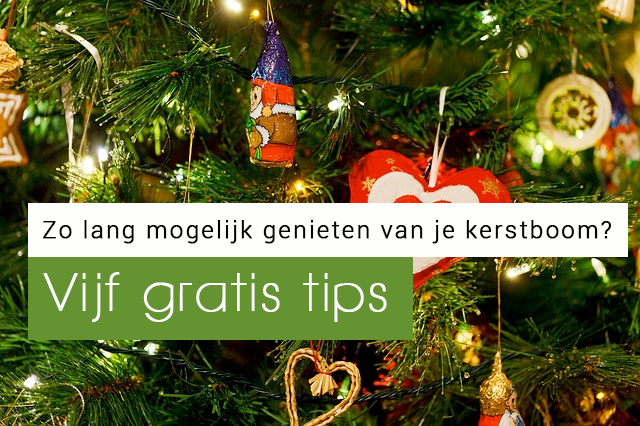 Kerstboom-lang-goed-houden-in-huis