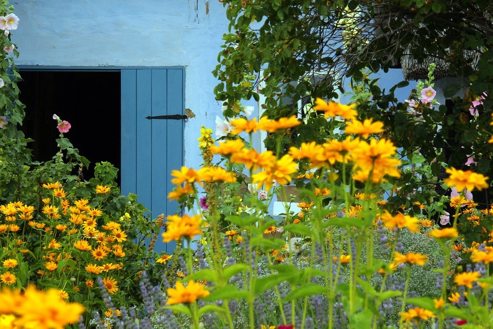 Vaste-planten-border-ontwerpen-bloemen-geel-blauw