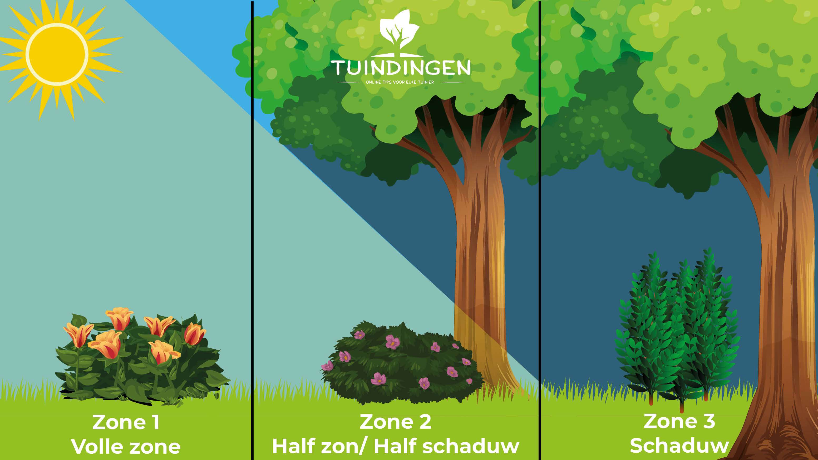 Ongekend Waar plaats ik mijn planten (Zon, Half-schaduw en Schaduw) CN-86