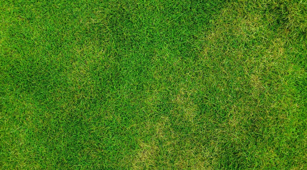 Afbeelding bij Toepassingen voor kunstgras
