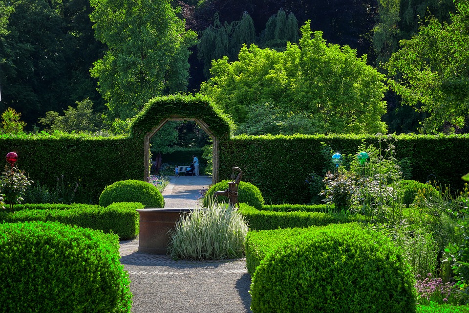 Gelderland-tuincentrum-Veluwe-Conifeer-Laurier-Beuk-Photinia-Conifeerhaag-Laurierhaag-Beukhaag-Beukenhaag-Haagbeuk-Kwekerij-planten-Bestellen-Bezorgen,