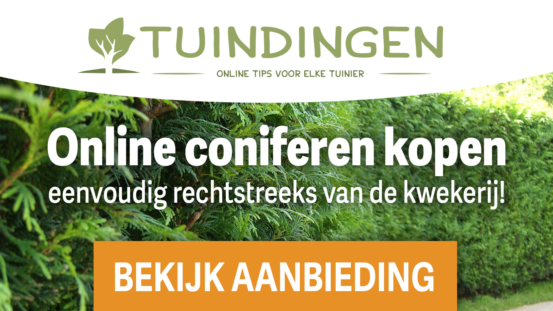 Tuincentrum kwekerij verkoop coniferen hagen in Drenthe