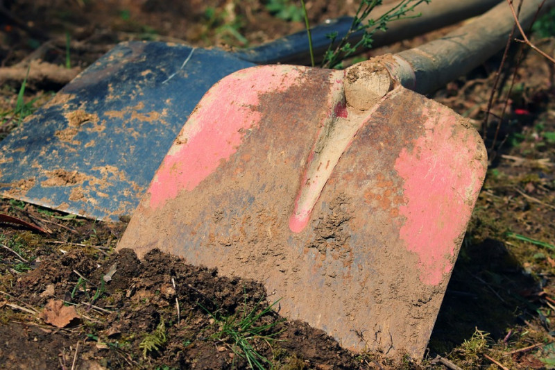 grondsoorten-stuwwallen-tuinieren-groeien-bodemanalyse-soorten-planten-bomen-inheems