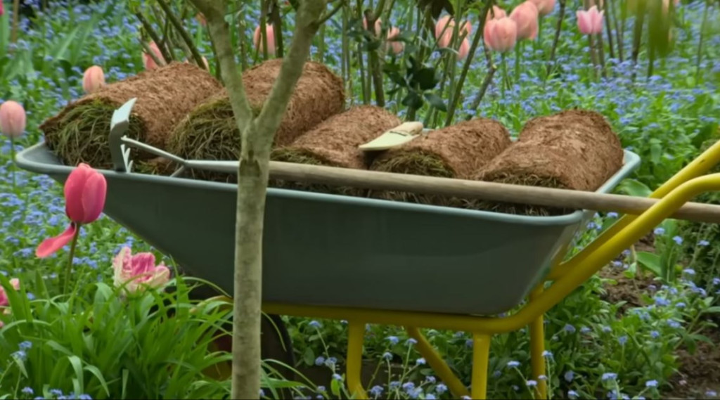 Afbeelding bij Gardeners' World 2024 Aflevering 6 terugkijken | praktische tuintips en inspiratie voor zomerse tuinavonturen!