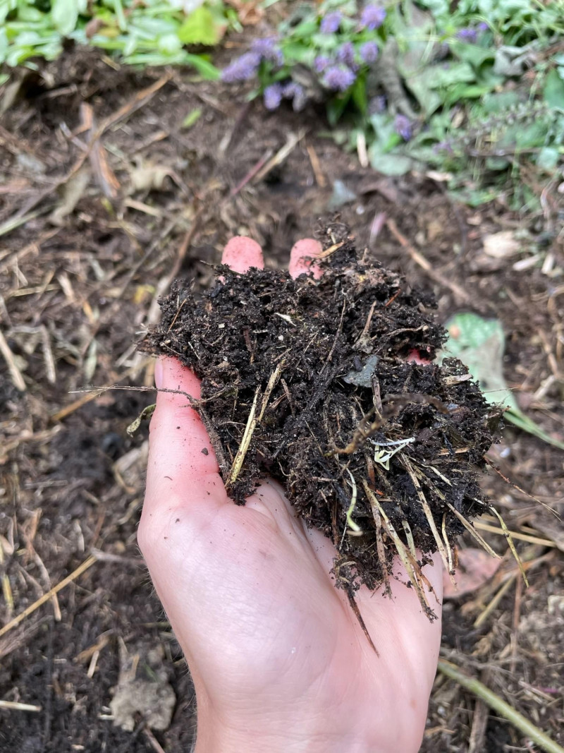 Composthoop compost hergebruik afgestorven planten 
