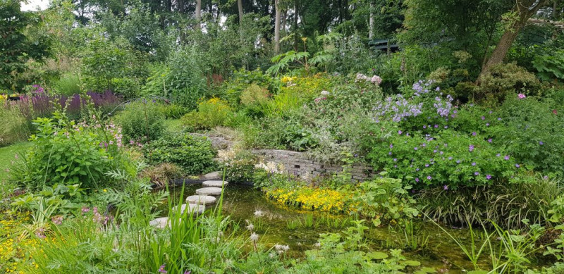 waterbewuste-vijvertuin-aanleg-voorbeelden-waterval-beken-wadi-natuurlijke-tuinontwerp-met-vaste-planten