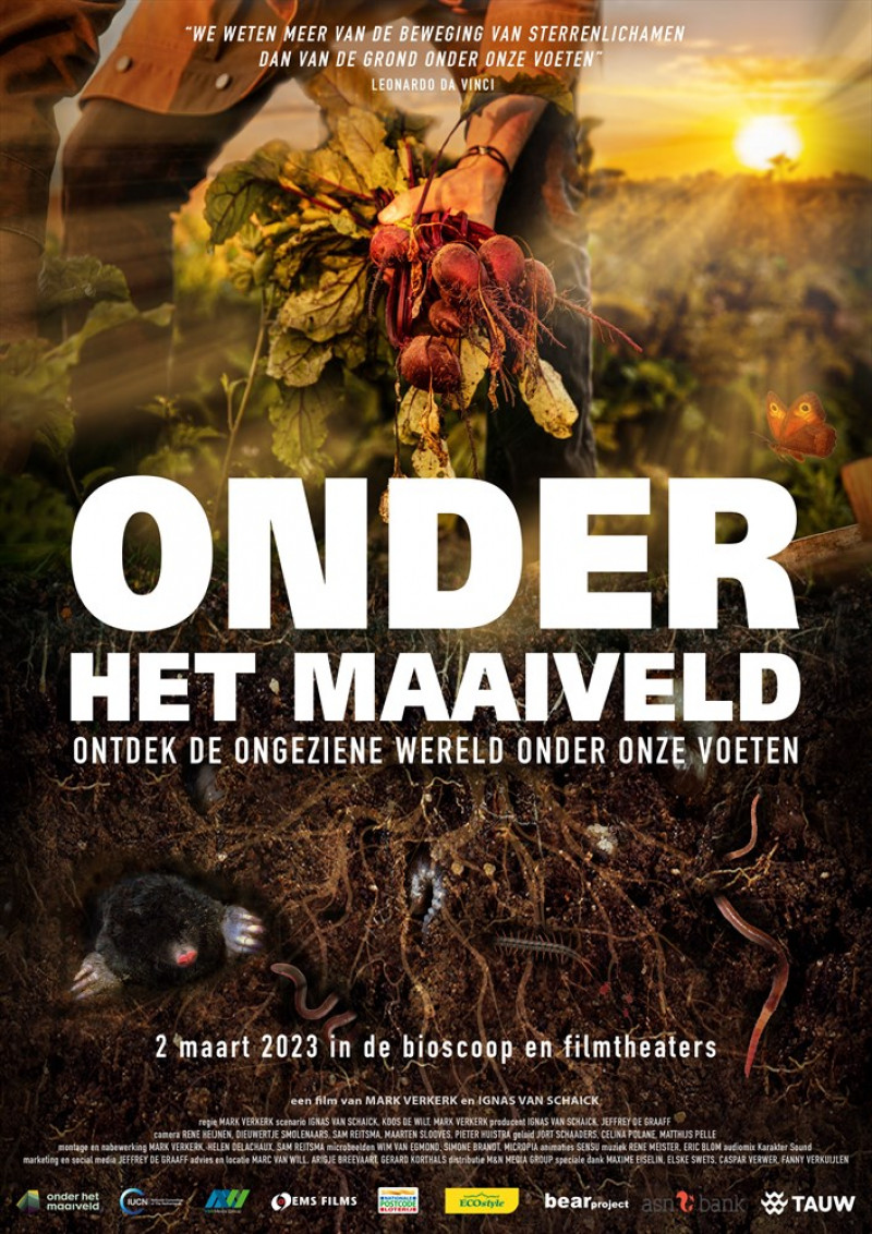 Onder-het-maaiveld-film-bodemleven-bodemdieren-leven-in-de-bodem-tuinieren-moestuinieren