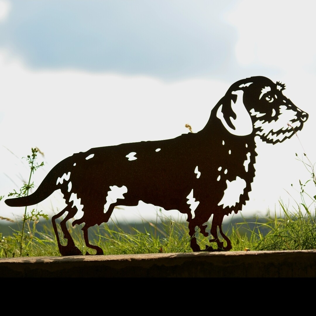 Teckel-van-cortenstaal-metaal-roestbruin-tuindecoratie-tuinbeelden-schotse terrier-Shiba inu-Duitse herder-Franse bulldog - Langharige teckel - Mechelse herder - Teckel - chihuahua