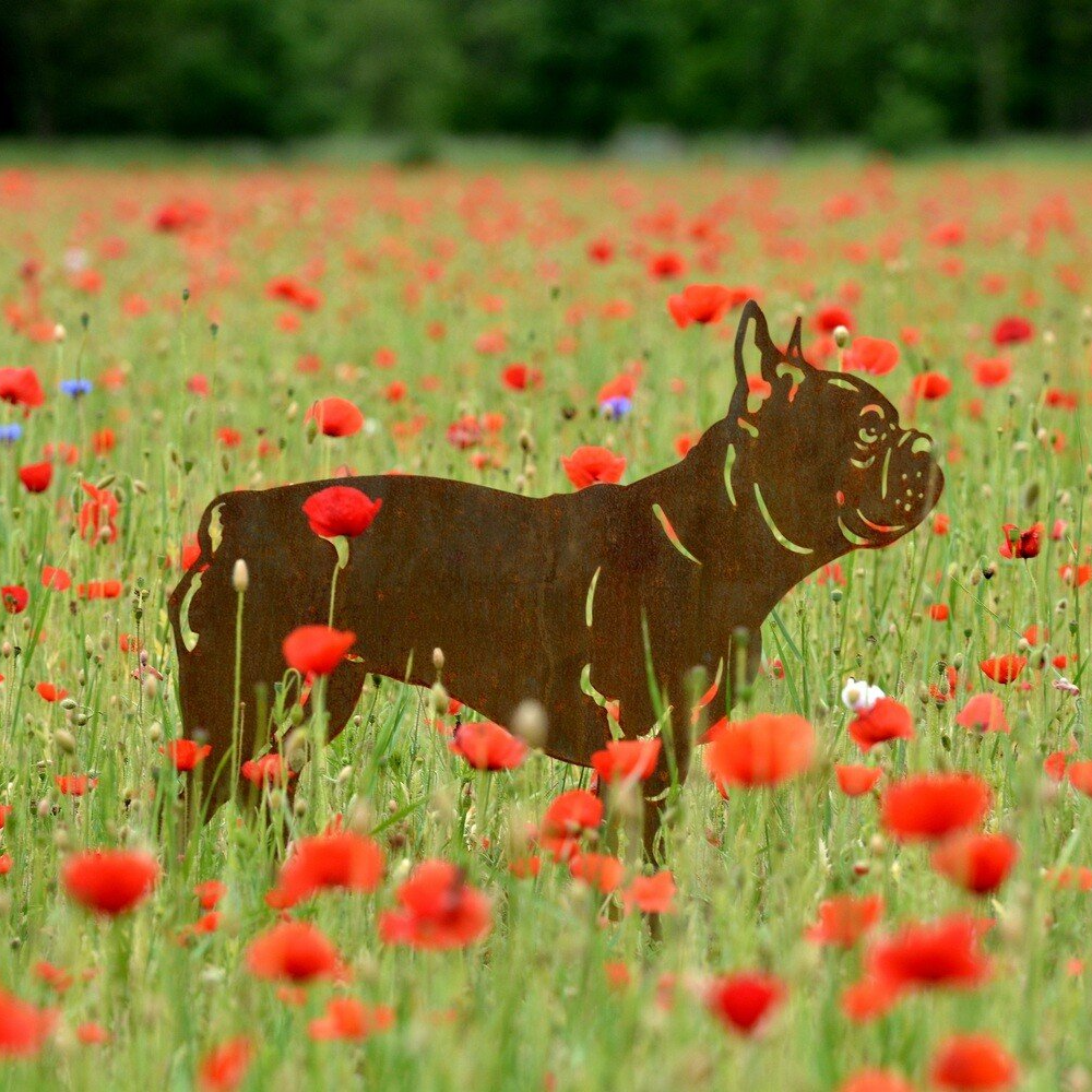borden-tuinbeelden-metaal-hond-honden-huisdieren-schotse terrier-Shiba inu-Duitse herder-Franse bulldog - Langharige teckel - Mechelse herder - Teckel - chihuahua