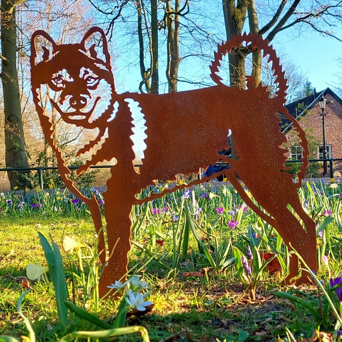 metalen-honden-wandecoratie-Teckel-cortenstaal-chihuahua-pomeriaan-stafford-yorkshire terrier