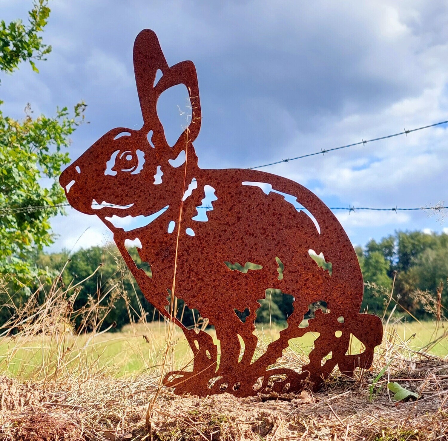 metalen-tuinbeelden-tuindecoratie-tips-voor-tuininrichting-natuurlijke-toevoeging-kunst-dieren-cortenstaal-metaal-dieren-konijn-eekhhoorn-mol-vleermuis