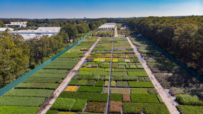 Overzicht-kwekerij-tuincentra-friesland