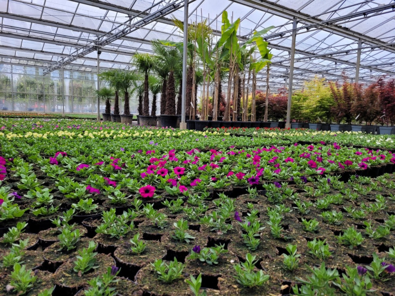 Overzicht-planten-kwekers-tuincentrum-friesland