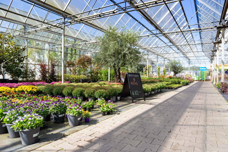 tuincentrum-friesland-heerenveen-leeuwarden-friesland-greensales