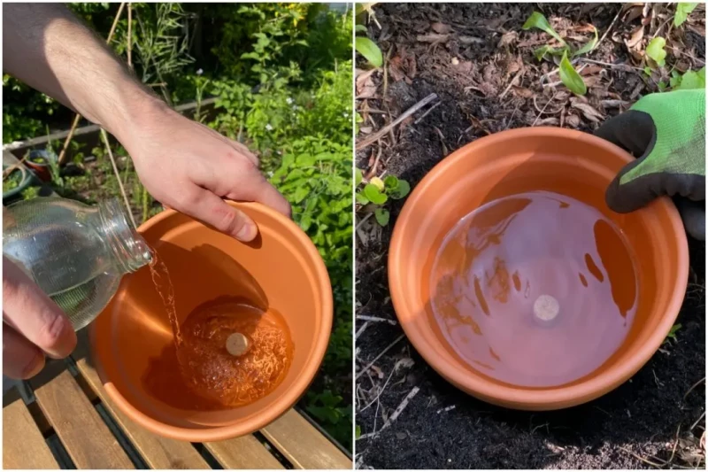 Planten-watergeven-grond-vochtig-houden