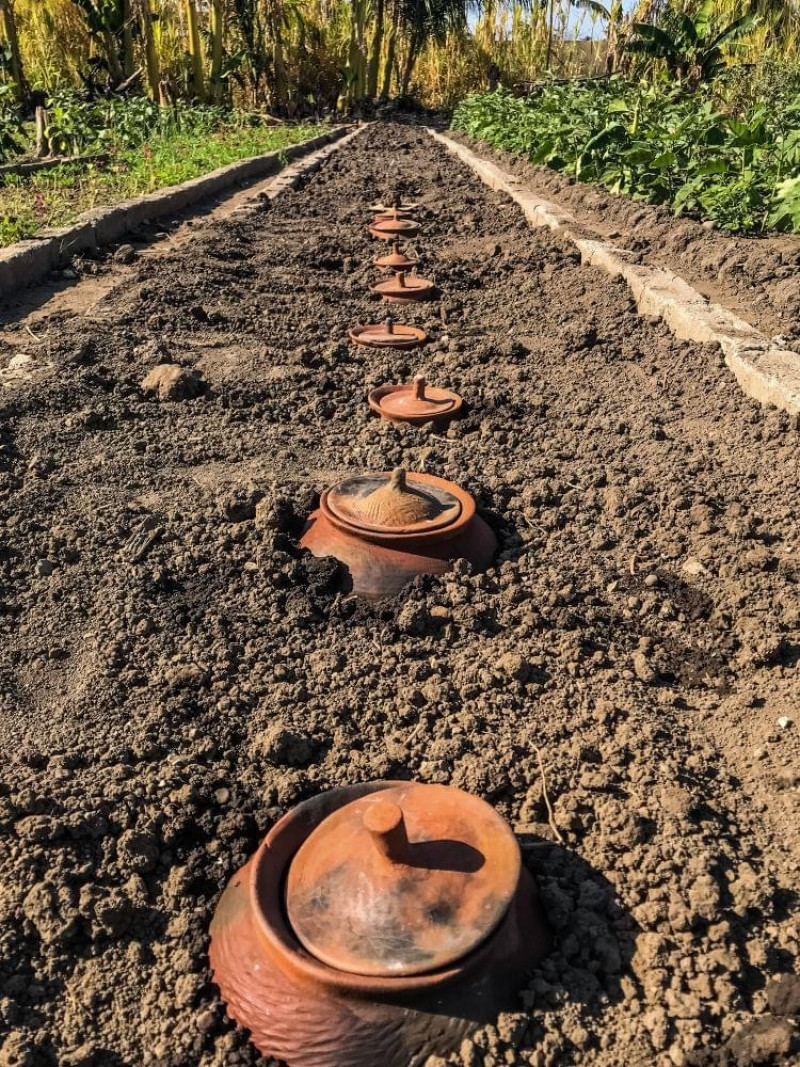 Tuin-besproeien-water-geven-droogte-tip-manieren 