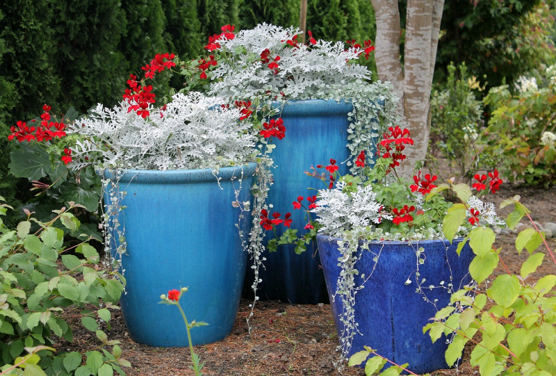 bloembakken-potten-inrichten-beplanting-vaste-planten-kleuren-langbloeiend-bladhoudend