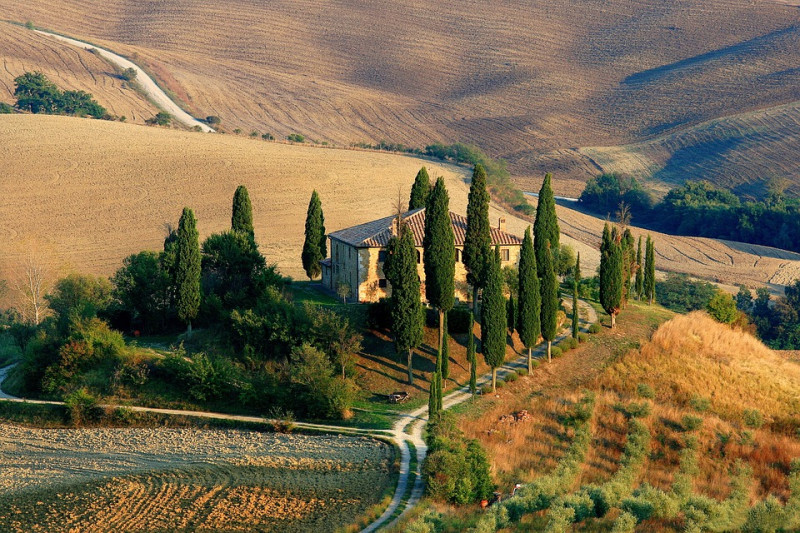 verschillende-soorten-bomenTuscany-Landschap-Cipres-toscaanse-smalle-bomen-coniferen