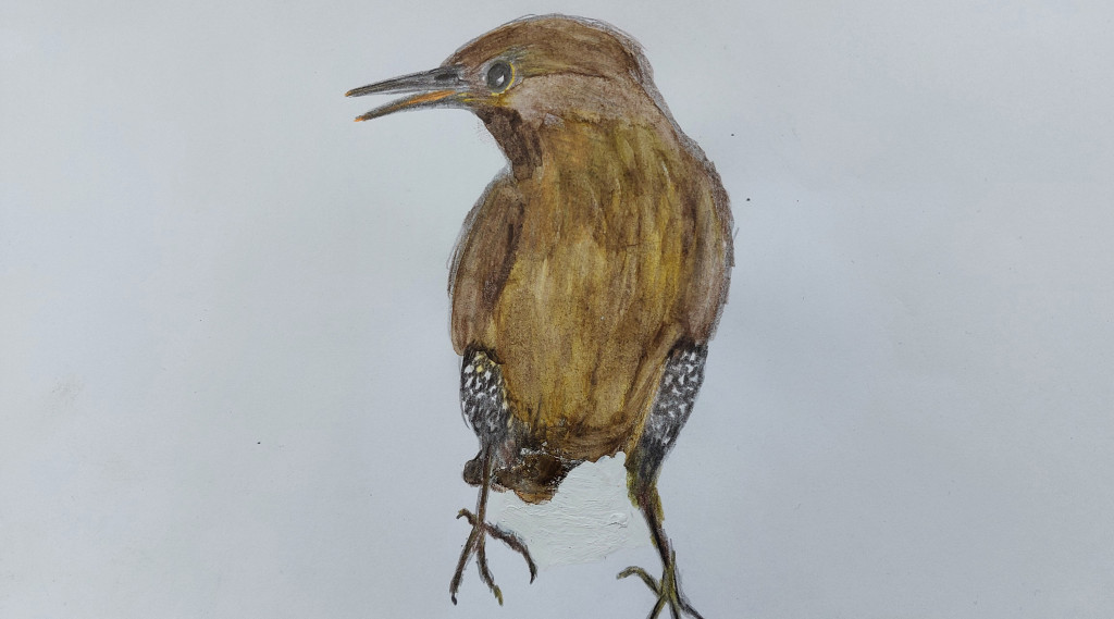 Afbeelding bij Spreekt u Spreeuws?