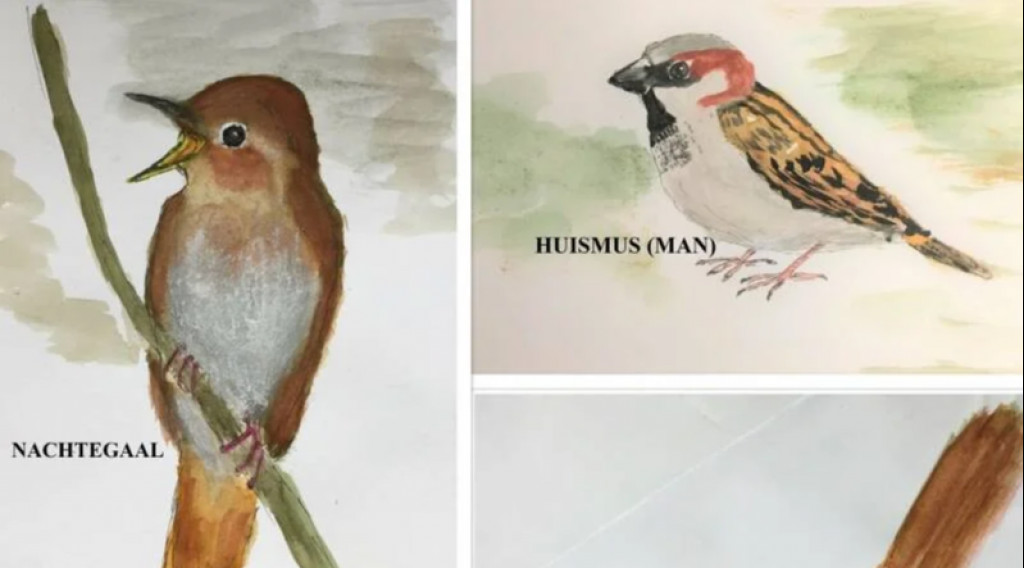 Afbeelding bij KBVtjes (Kleine Bruine Vogeltjes)