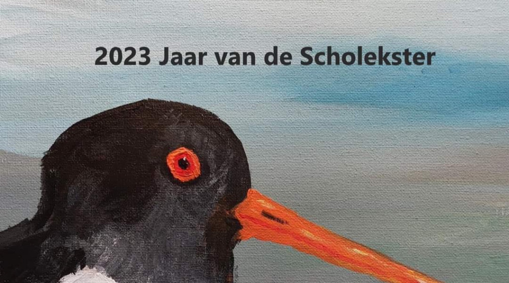 Afbeelding bij Pechvogel 2023: ‘Misschien krijg je mij straks op je dak, of in je tuin’