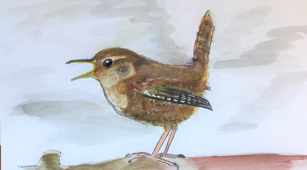 Afbeelding bij Koninkje Winter