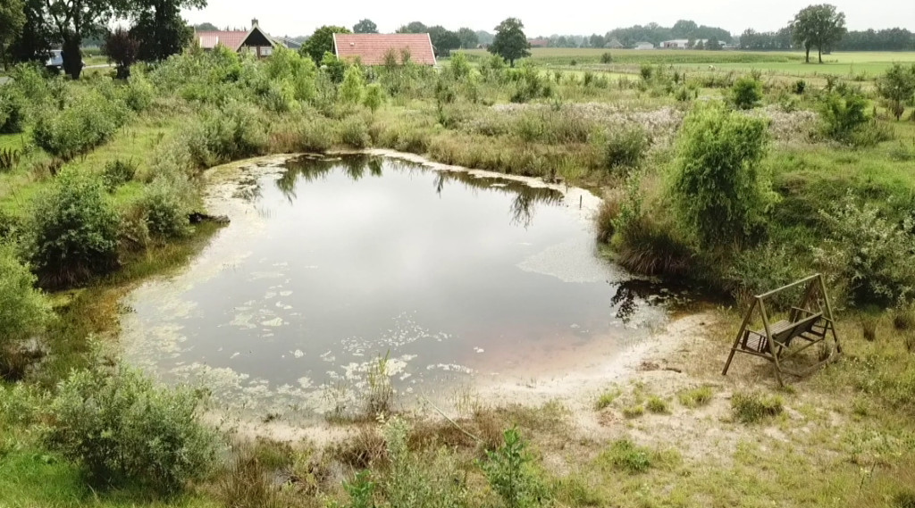 Afbeelding bij Documentaire: Paradijsje met voedselbos, moestuin, zwemvijver, melkgeiten en kippen #homestead