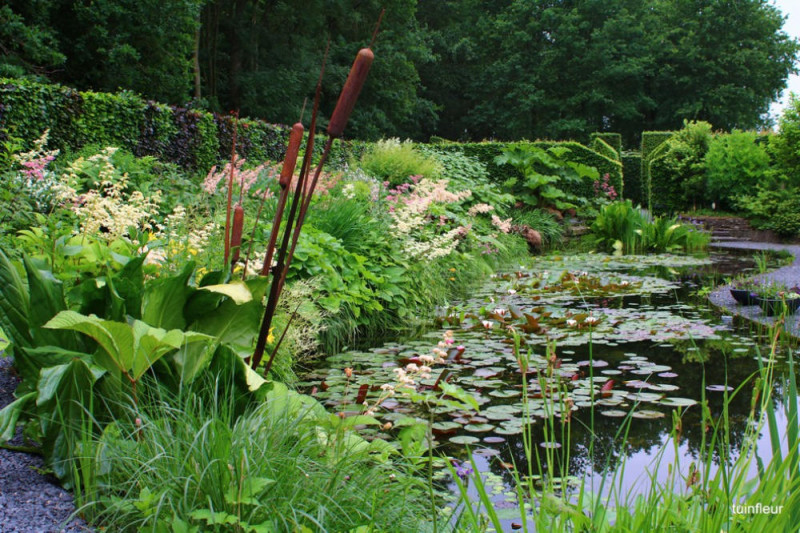 Voorbeelden-natuurlijke-vijver-met-planten-border