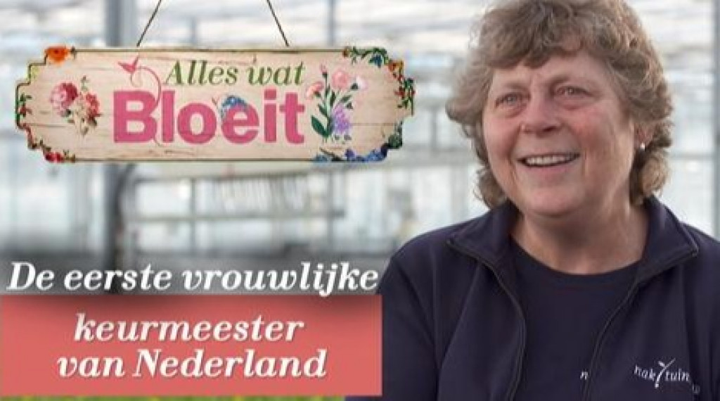 Afbeelding bij Nederlandse tuinbouw staat wereldwijd aan de top - de dagelijkse strenge kwaliteitseisen