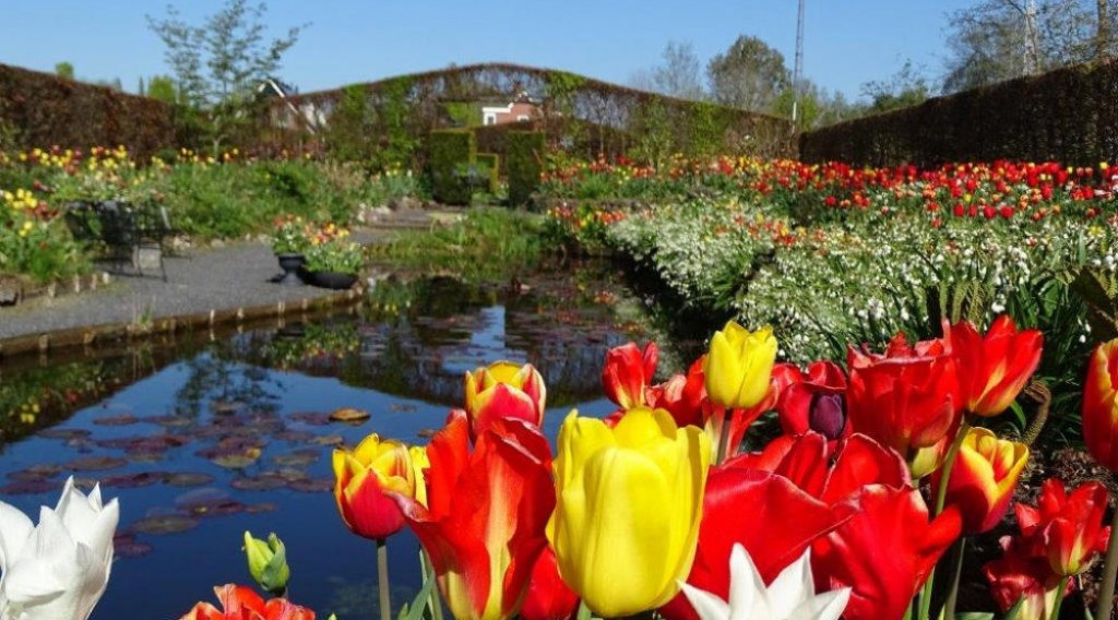 Afbeelding bij Bezoektuin Tuinfleur! Verrassende tuin met een bijzondere collectie van sneeuwklokjes