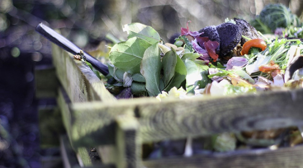 Afbeelding bij Composteren: van tuinafval tot goud voor de grond