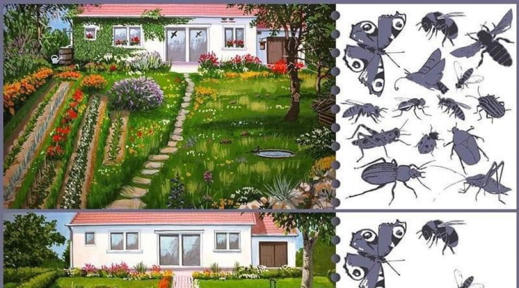Afbeelding bij Diervriendelijk tuinieren