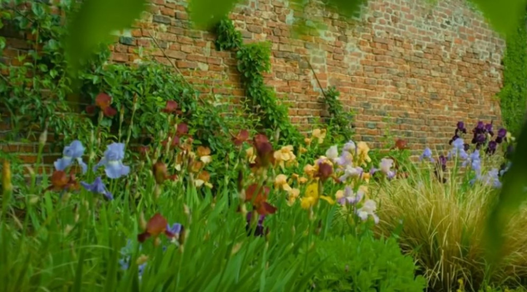 Afbeelding bij Gardeners World 2024 Aflevering 3