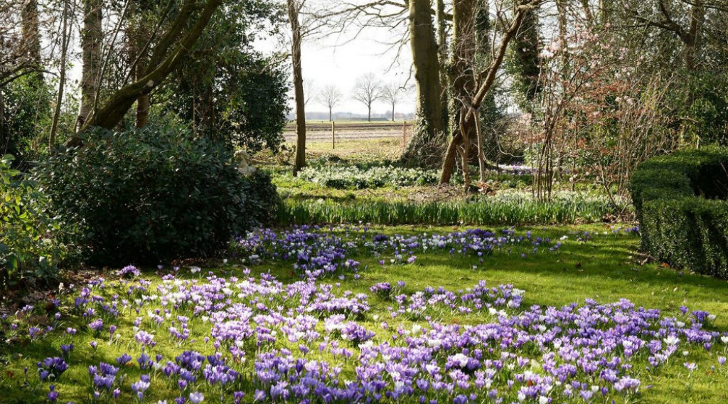Afbeelding bij Villa met landschapstuin van 7000m2 vol met stinzenplanten te kloosterveen Smilde
